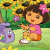 Dora cu diferente