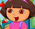 Dora taie fructe