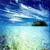 fas2wfdtkw's Avatar